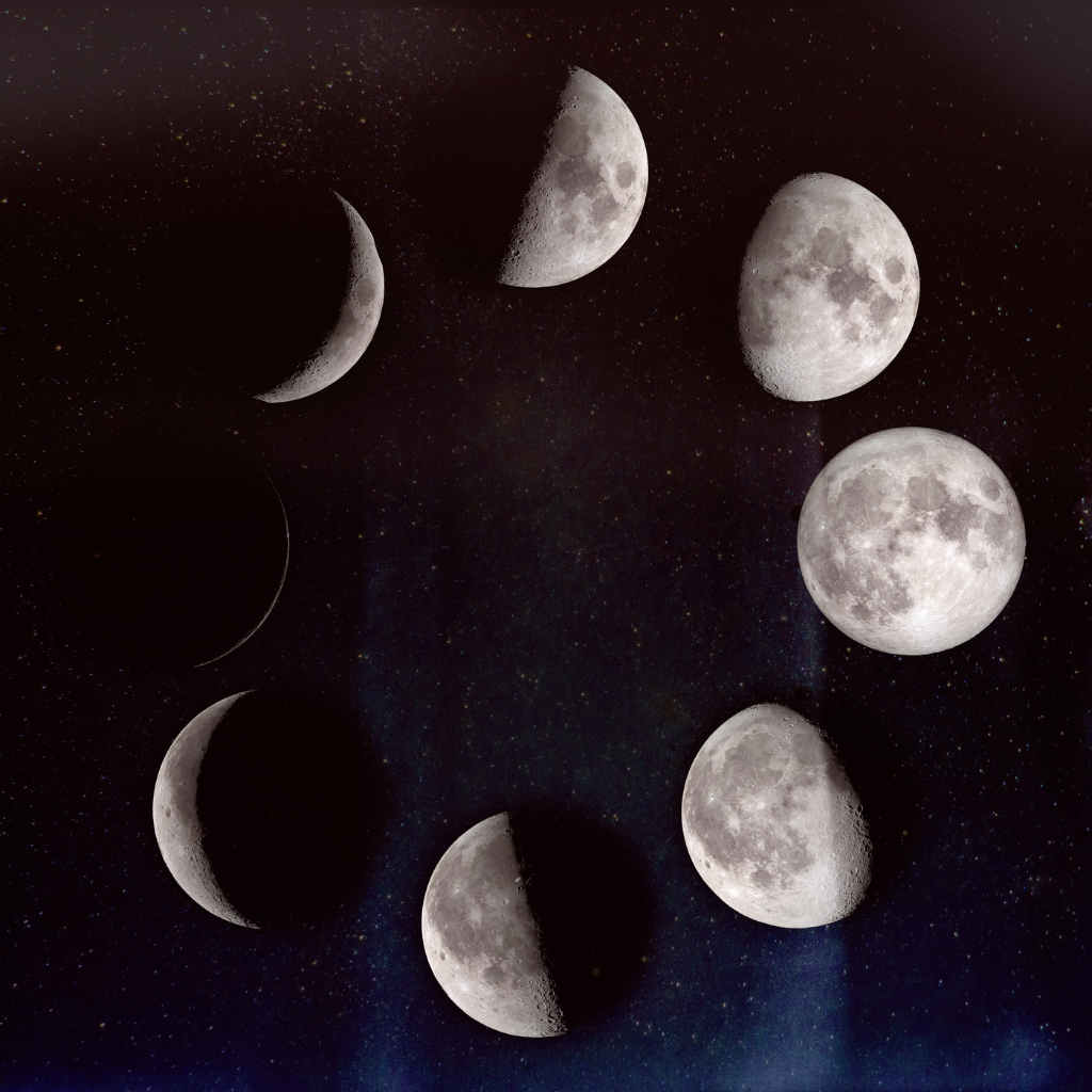 Astrology Reading Near Me Moon Phases